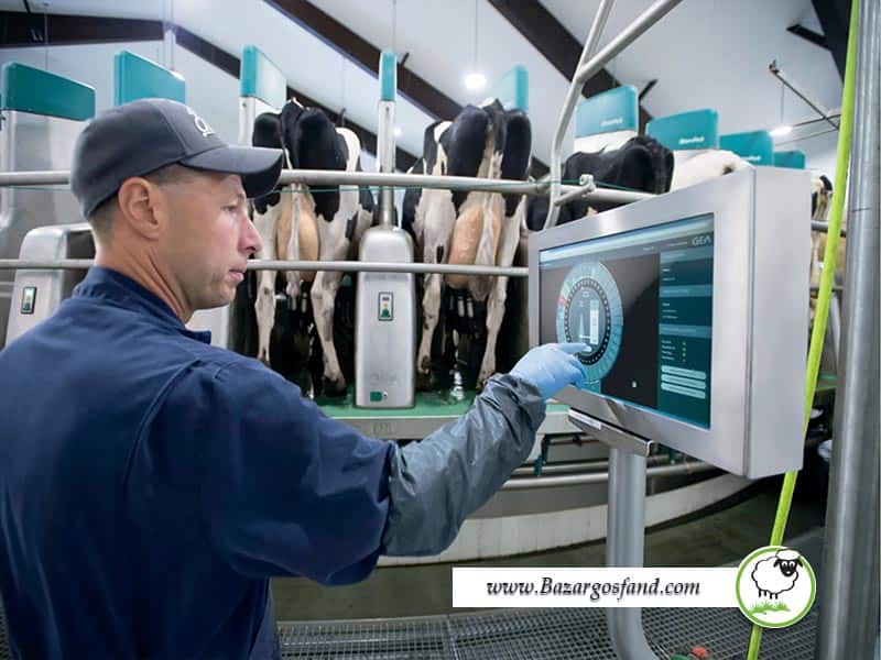 جدیدترین فناوری‌های دوشیدن شیر گاو و گوسفند