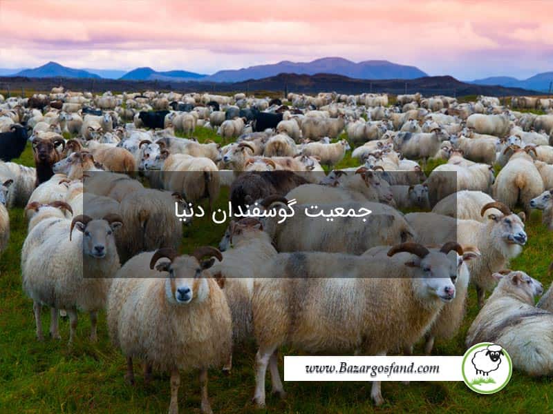 تعداد گوسفندان جهان