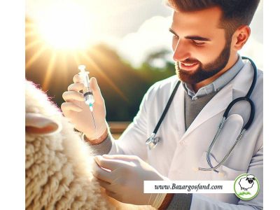 Medicine-for-seven-pains-in-sheep-1